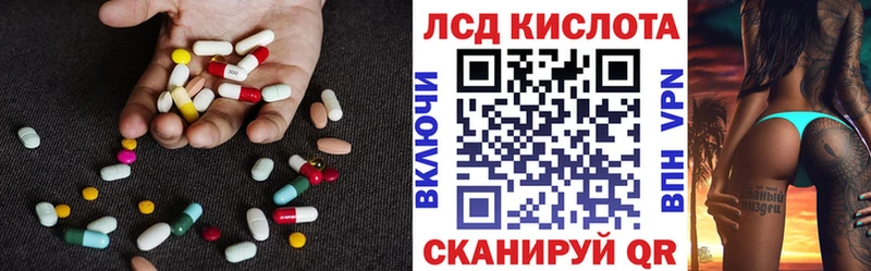 блэк спрут вход  Приморск  Лсд 25 экстази кислота 