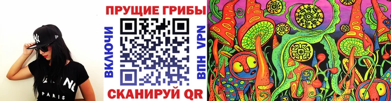 Галлюциногенные грибы Psilocybine cubensis  Приморск 